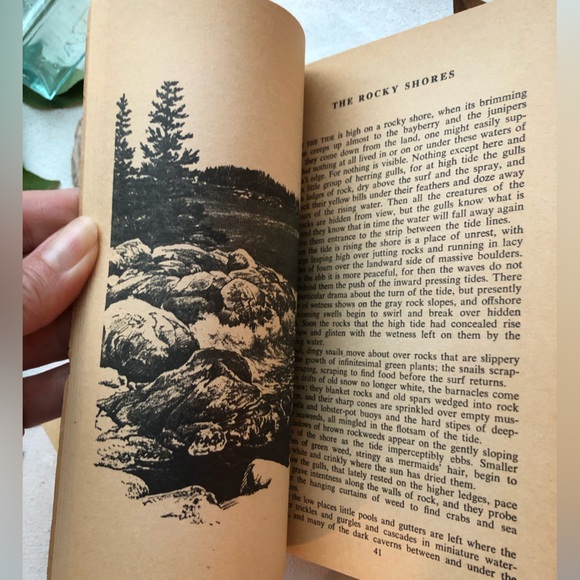 The Edge Of The Sea by Rachel Carson, w/ 160+ illustrations by Bob Hines, 1955 - Picture 7 of 15